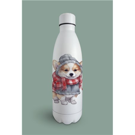 Insulated Bottle 