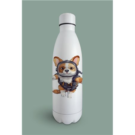 Insulated Bottle 
