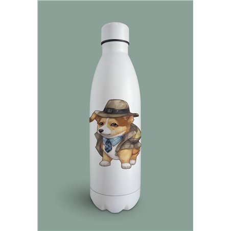 Insulated Bottle 