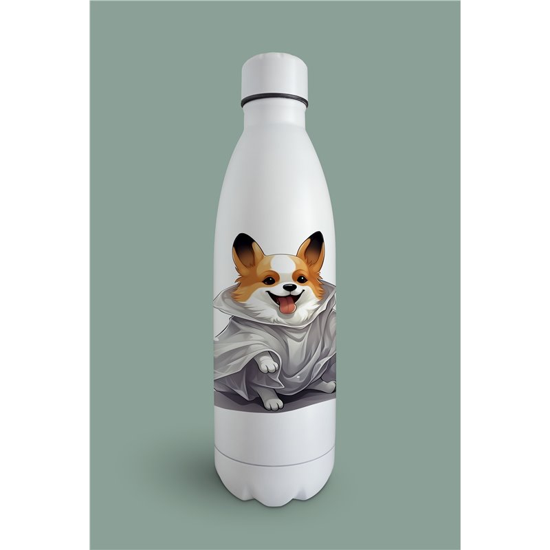 Insulated Bottle 
