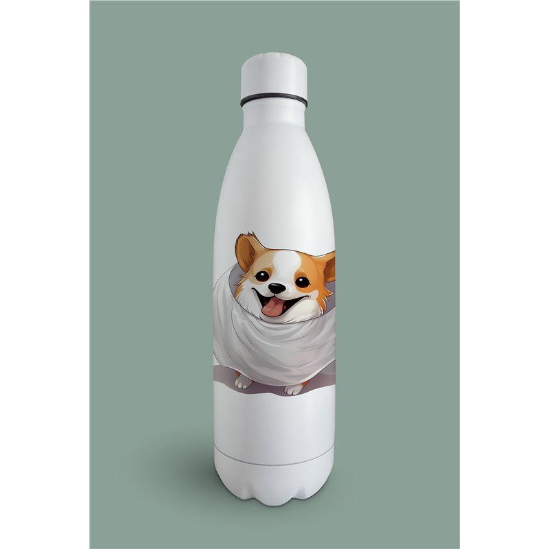 Insulated Bottle 