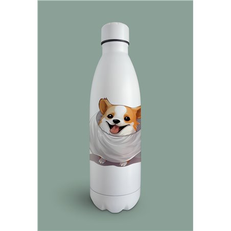 Insulated Bottle 