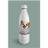 Insulated Bottle 