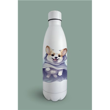 Insulated Bottle 
