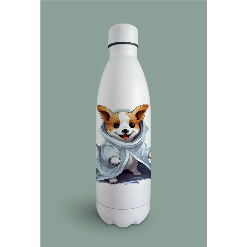 Insulated Bottle 
