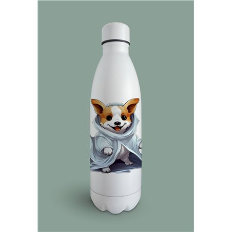 Insulated Bottle 