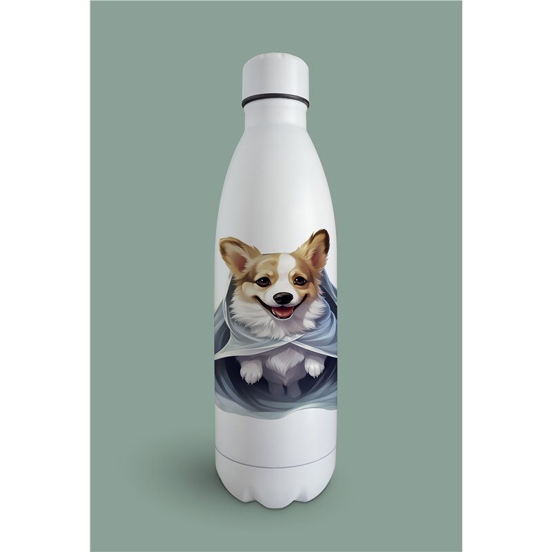 Insulated Bottle 