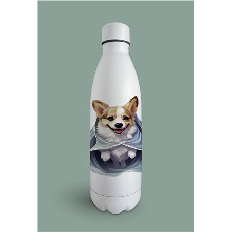 Insulated Bottle 