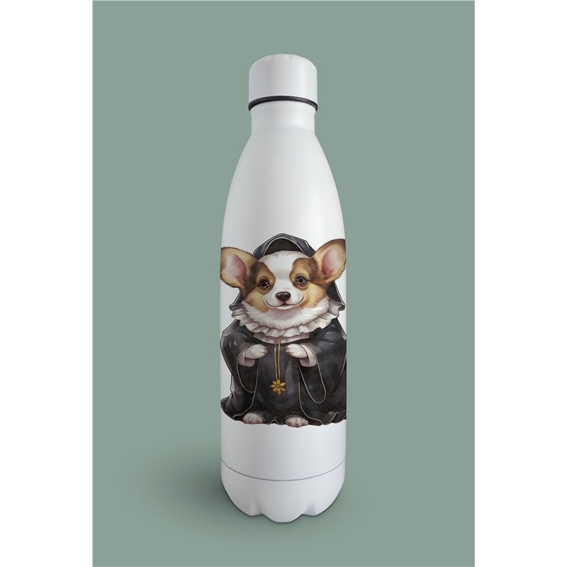 Insulated Bottle 