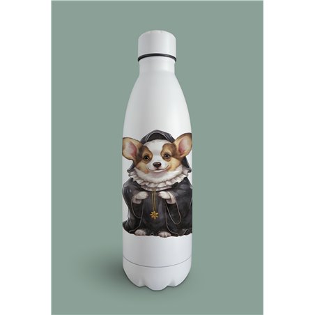 Insulated Bottle 