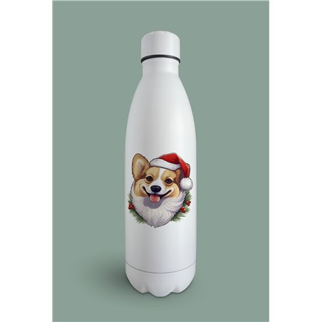 Insulated Bottle 