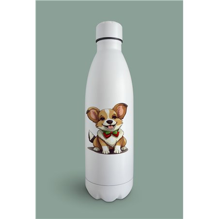 Insulated Bottle 