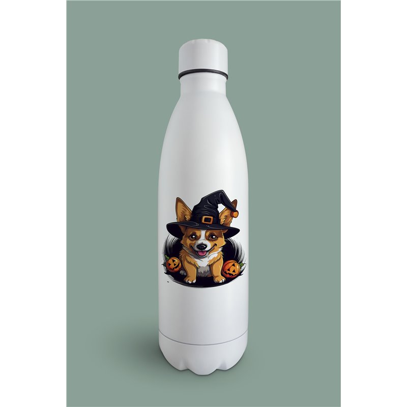 Insulated Bottle 