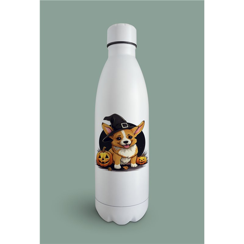 Insulated Bottle 
