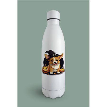 Insulated Bottle 