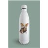 Insulated Bottle 