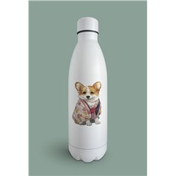 Insulated Bottle 