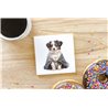 Ceramic Tile Coaster/ Trivet - as 27