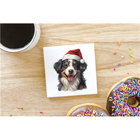 Ceramic Tile Coaster/ Trivet - as 42