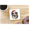 Ceramic Tile Coaster/ Trivet - as 44