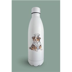 Insulated Bottle  - as 1