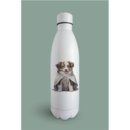 Insulated Bottle  - as 2