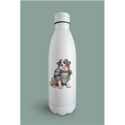 Insulated Bottle  - as 3