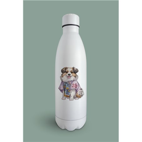 Insulated Bottle  - as 4