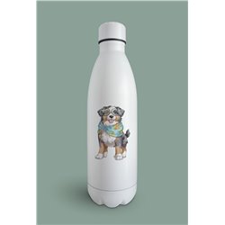 Insulated Bottle  - as 6