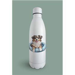Insulated Bottle  - as 7