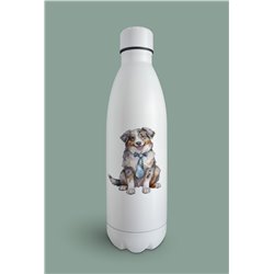 Insulated Bottle  - as 8