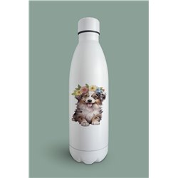 Insulated Bottle  - as 10