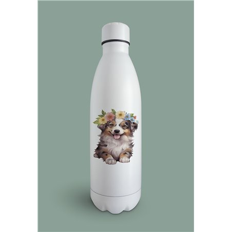 Insulated Bottle  - as 10