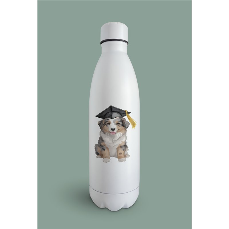 Insulated Bottle  - as 11