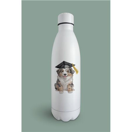 Insulated Bottle  - as 11