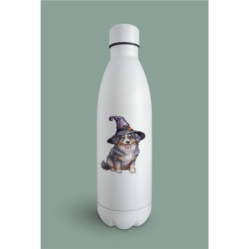 Insulated Bottle  - as 12