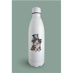 Insulated Bottle  - as 13