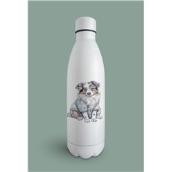 Insulated Bottle  - as 14