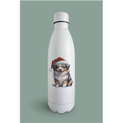 Insulated Bottle  - as 16