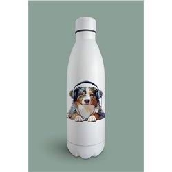 Insulated Bottle  - as 17