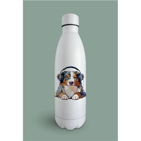 Insulated Bottle  - as 17