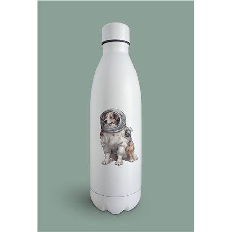 Insulated Bottle  - as 19