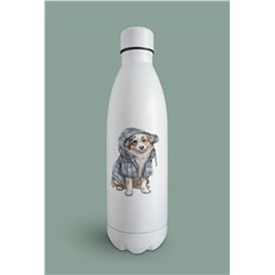 Insulated Bottle  - as 20
