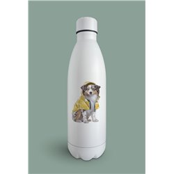 Insulated Bottle  - as 21