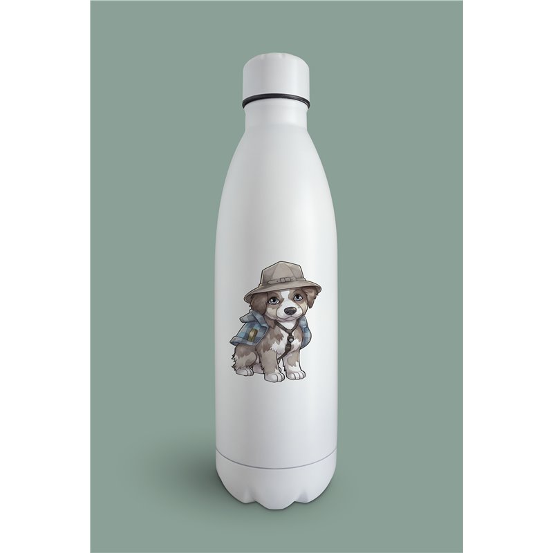 Insulated Bottle  - as 24