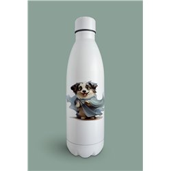 Insulated Bottle  - as 25