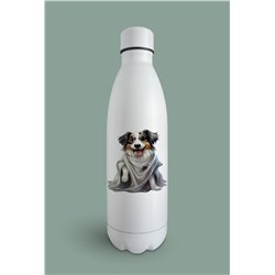 Insulated Bottle  - as 26
