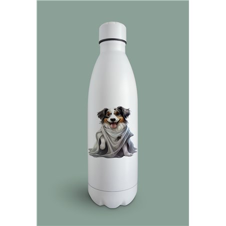 Insulated Bottle  - as 26