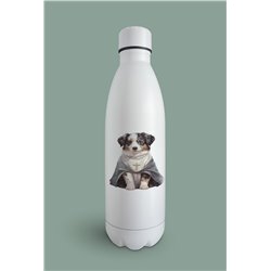Insulated Bottle  - as 27
