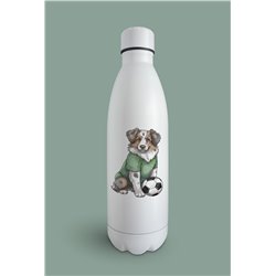 Insulated Bottle  - as 28